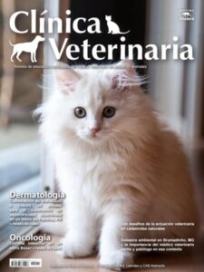 Clínicas Veterinarias En Union Ferroviaria
