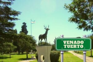 Clínicas Veterinarias En Venado Tuerto