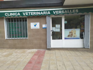 Clínicas Veterinarias En Versalles