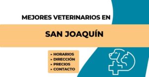 Clínicas Veterinarias En Vicuna Mackenna