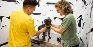 Clínicas Veterinarias En Villa Del Dique
