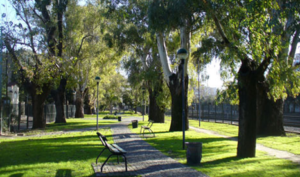 Clínicas Veterinarias En Villa Devoto