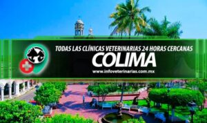 Clínicas Veterinarias En Villa Insuperable