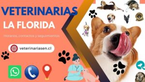 Clínicas Veterinarias En Villa La Florida