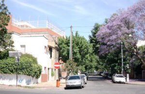 Clínicas Veterinarias En Villa Urquiza