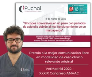 Clínicas Veterinarias En Villalonga