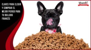 MUNDO ANIMAL- Veterinaria-Sieger