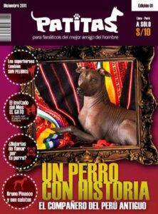 Patitas Veterinaria