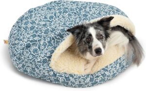 Pet Home De Anastasie