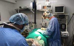 PLAZA Clinica Veterinaria