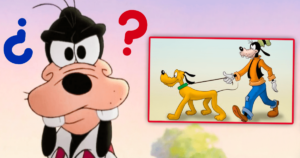 Pluto Vet & Pets
