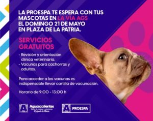 Veterinaria 25 De Mayo