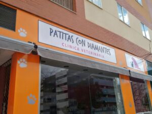 Veterinaria 4 Patitas