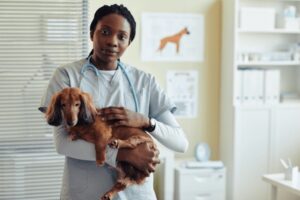 Veterinaria Africa