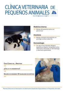 Veterinaria Aiken