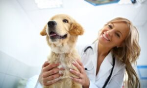 Veterinaria Álvarez