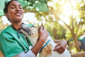Veterinaria Animales Felices