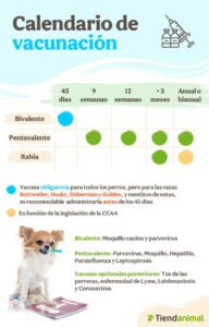 Veterinaria Bava Francisco