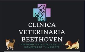 Veterinaria Beethoven