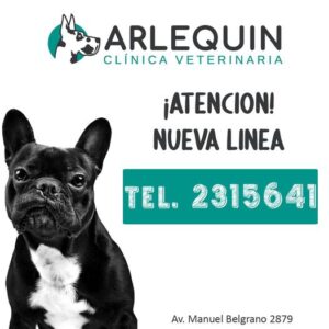 Veterinaria Belgrano