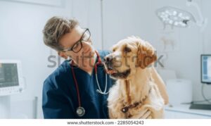 Veterinaria Bella Vista