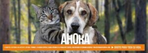 Veterinaria ¨El Yagua¨ Casa Central