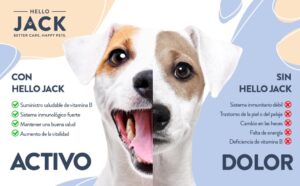 Veterinaria Conhello