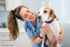 VETERINARIA DE LA RIVERA