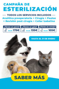 Veterinaria Del Parque