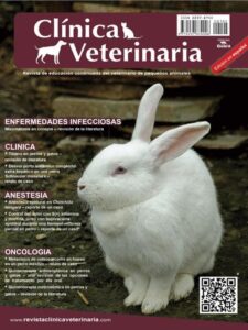 Veterinaria Del Pueblo