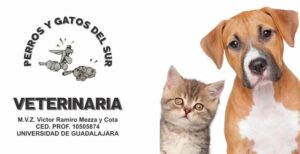 Veterinaria "Del Sur"
