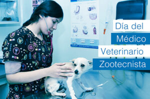 Veterinaria Dr Dante Baez