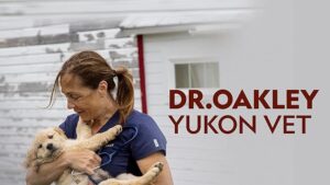 Veterinaria "Dr O"