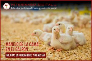 Veterinaria "El Galpón"