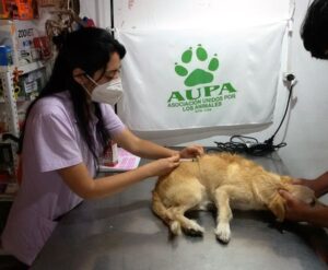 Veterinaria El Gaucho