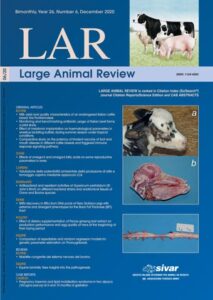 Veterinaria El Moro