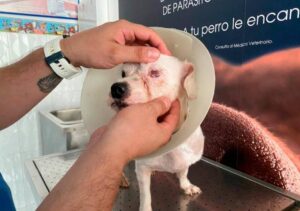 Veterinaria El Palenque