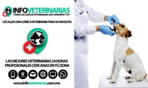 Veterinaria El Palenque