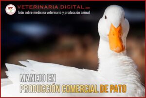 Veterinaria El Pato