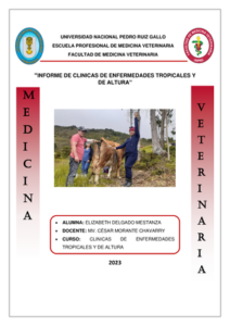 VETERINARIA EL TIMBO