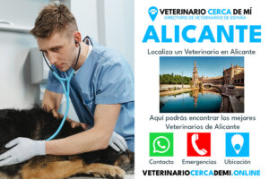 Veterinaria Fénix