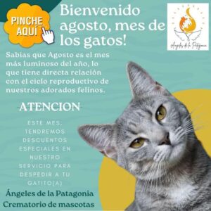 Veterinaria Ferretería Martín Fierro