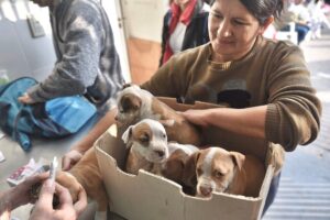 VETERINARIA GARIN