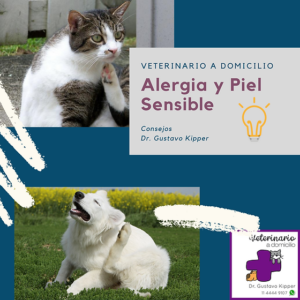 Veterinaria Gerli