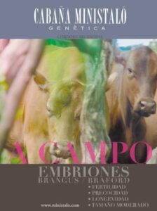 VETERINARIA GRISETTI SANTO TOME CORRIENTES