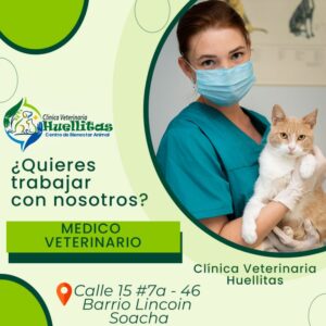 Veterinaria Huellitas
