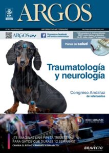 Veterinaria Kyon