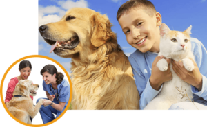 Veterinaria La Huella