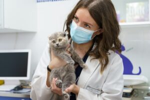 Veterinaria La Madrid