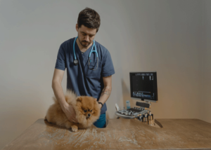 Veterinaria La Pulga